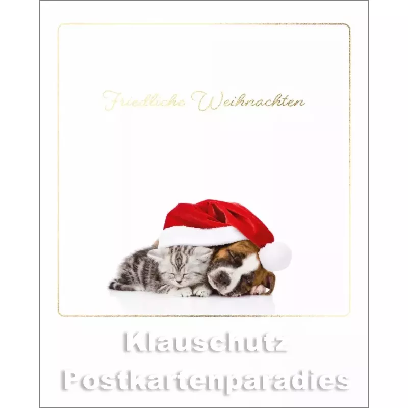 Katze und Hund - Friedliche Weihnachten - Cityproducts Happymemories Postkarte