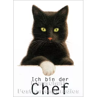 Ich bin der Chef | Quint Buchholz Postkarte mit Katze