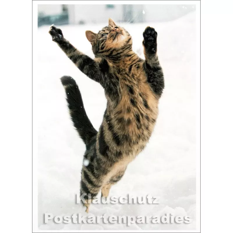 Katze jagt im Schnee nach Schneeflocken - SkoKo Winter Postkarte