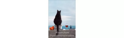 Katze am Meer - Quint Buchholz Postkarte
