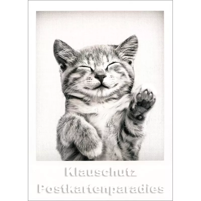 Sofortbild-Postkarte s/w von Tushita | Kätzchen