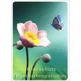 SkoKo Blumen Postkarte mit Schmetterling