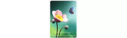 Schmetterling trifft Blume - SkoKo Blumen Postkarte
