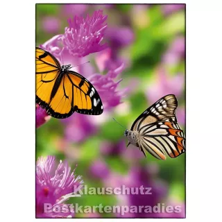 Schmetterlinge auf Wiese | Foto Postkarte Frühling