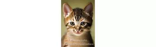 Kitty - Katzen Postkarte