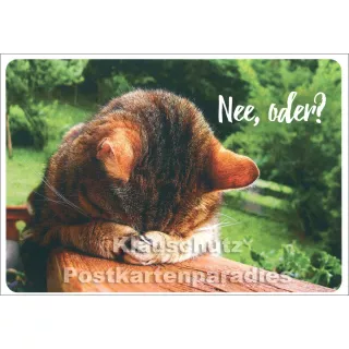 Katze - Nee, oder? | SkoKo Postkarte