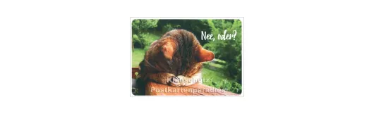 Katze - Nee, oder | SkoKo Postkarte
