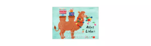 Geburtstags-Kamel | Postkarte