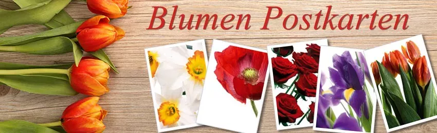 Postkarten Onlineshop - Blumen